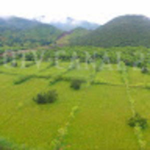 Meet your Posher, Elvin